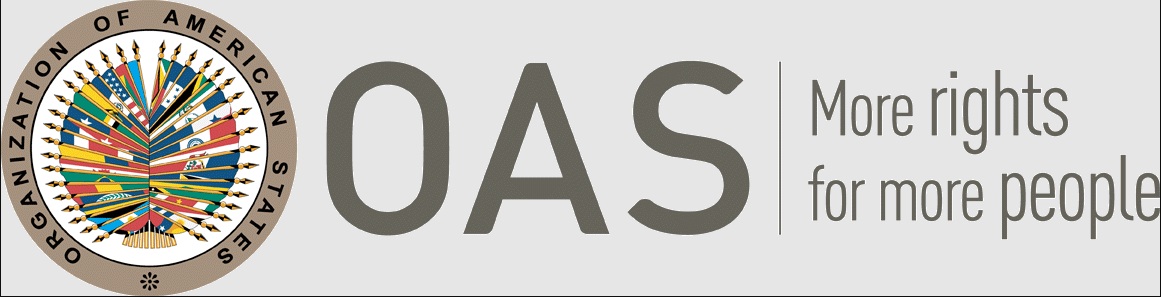 Opinion: Arm the OAS to Fight the Cartels