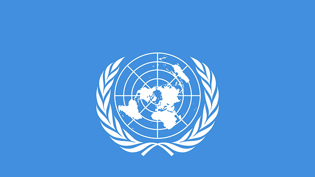 United Kingdom Withdraws Troops from MINUSMA Early