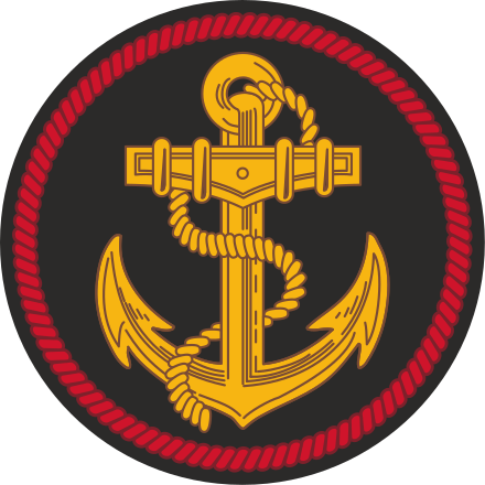 Russian 155th Guards Naval Infantry Brigade Members Issue Plea to Governor, Primosrky Krai