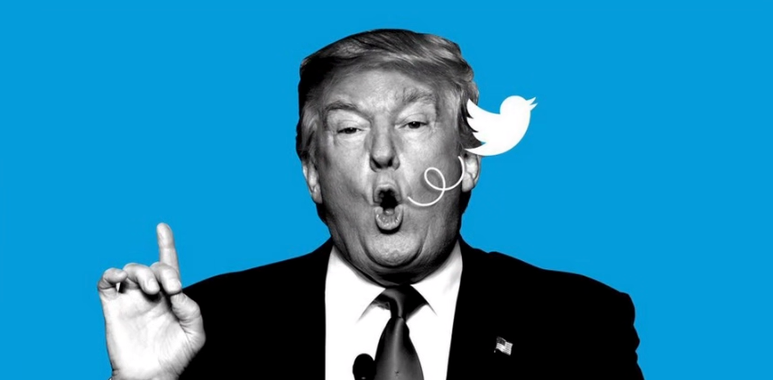 Elon Musk Will Reinstate Trump On Twitter After 15 Million People Vote On It