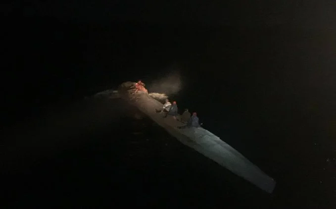 Mexican Navy Seized 873 Kilograms of Cocaine in Narco-submarine