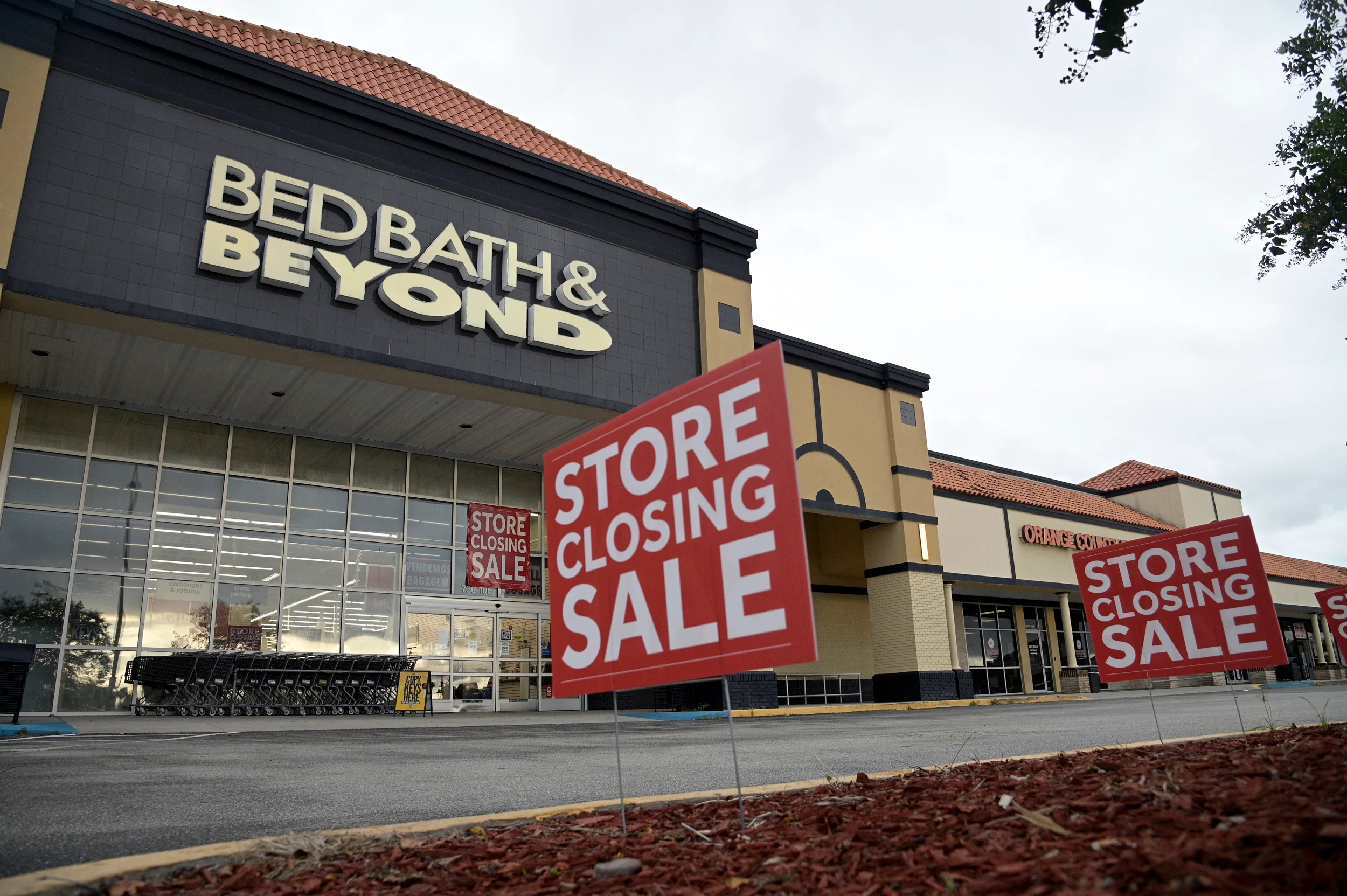 Bed Bath & Bust