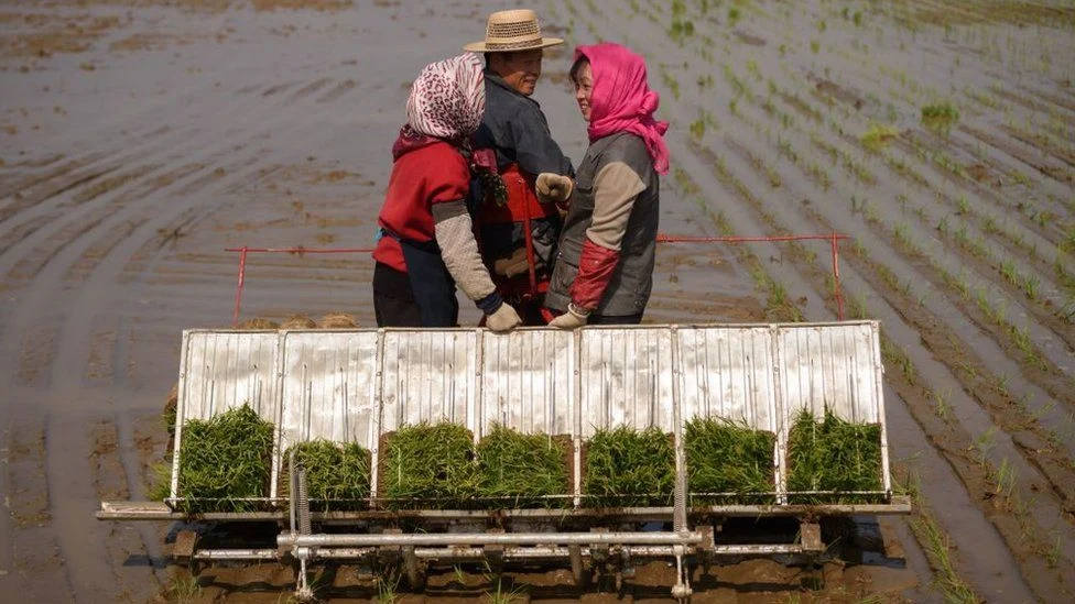 North Korea May Soon Experience Another Food Crisis