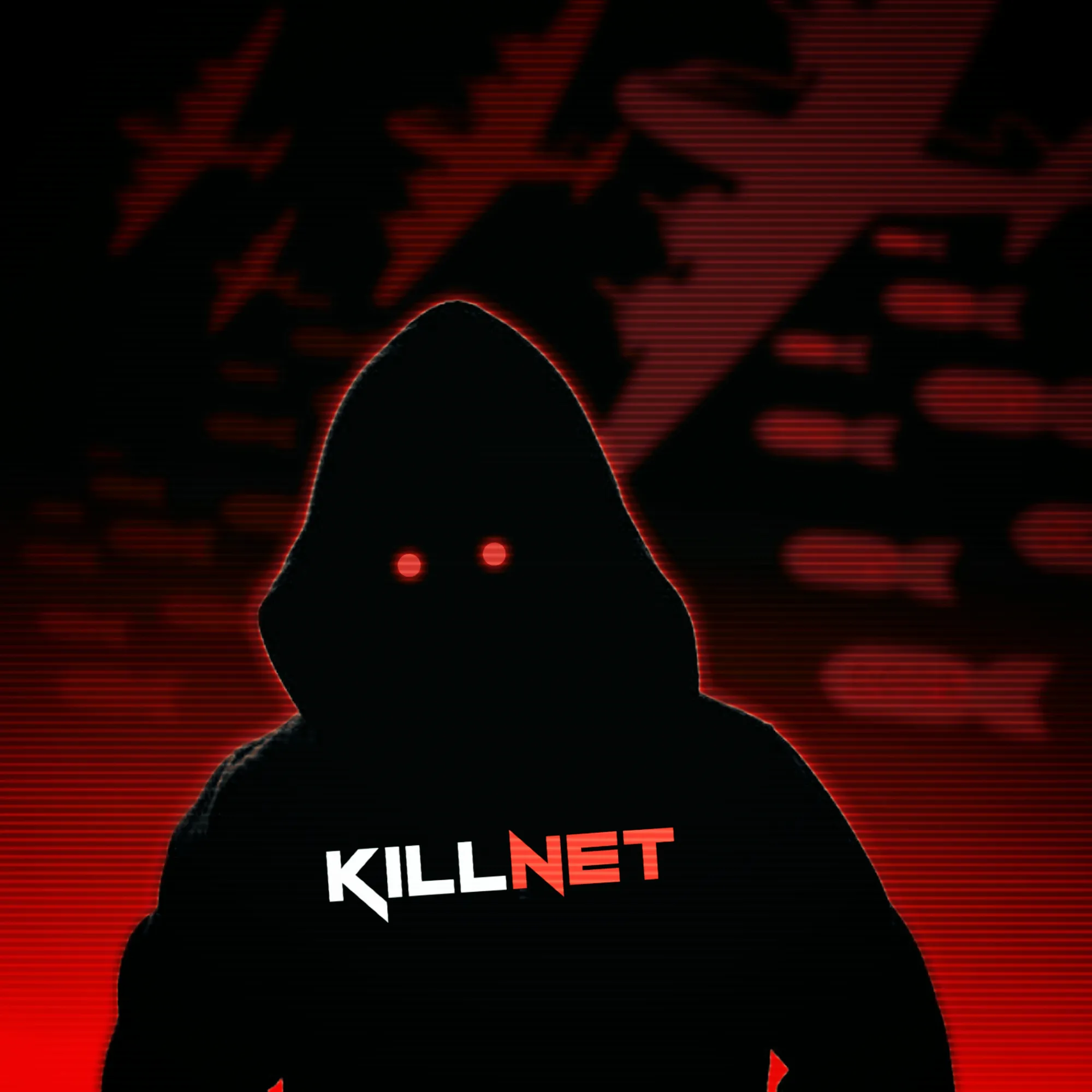 Russian Hacker Group Kill Net Takes Down Department of Defense Website