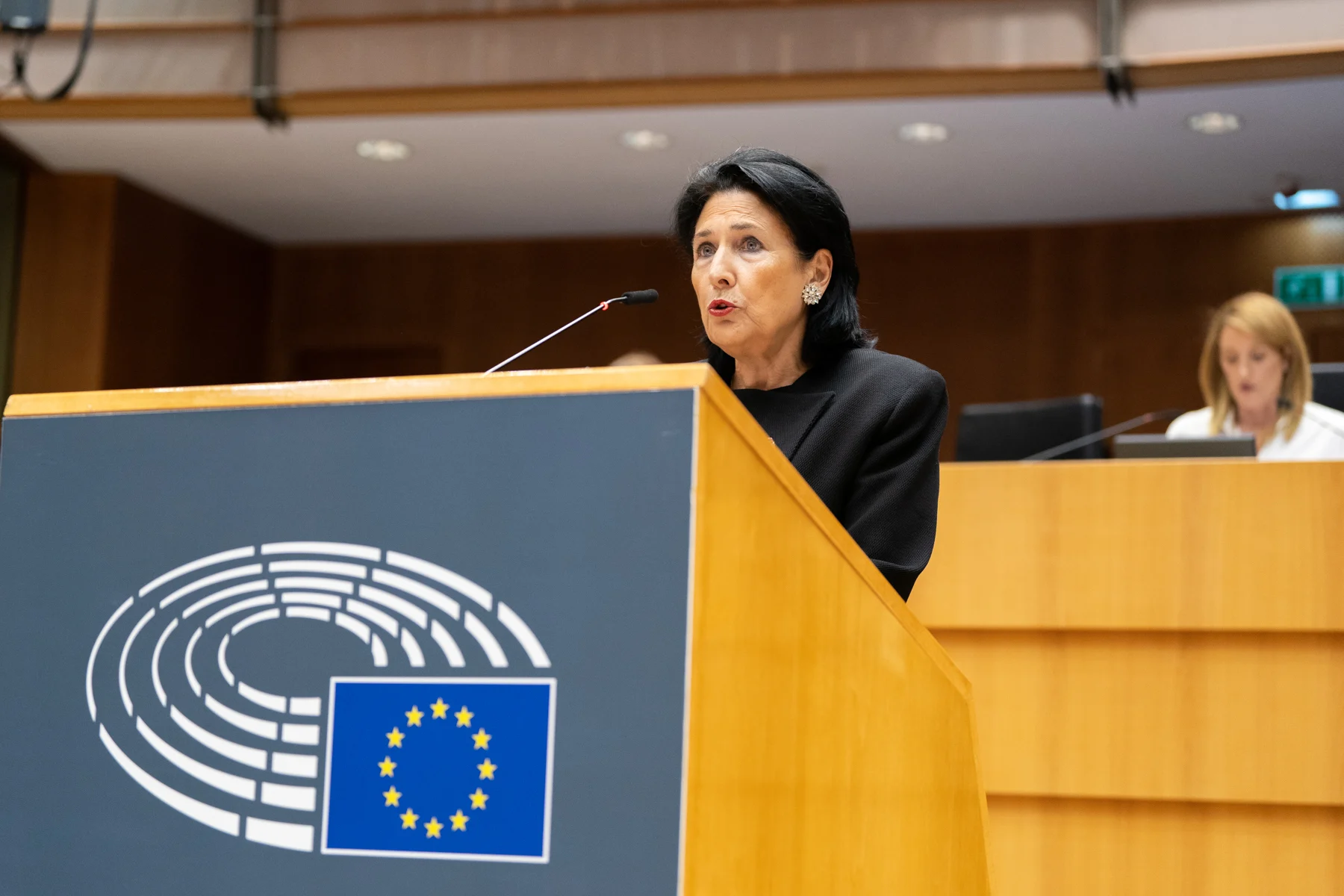 Georgian President Commits To European Integration, Warns Russia