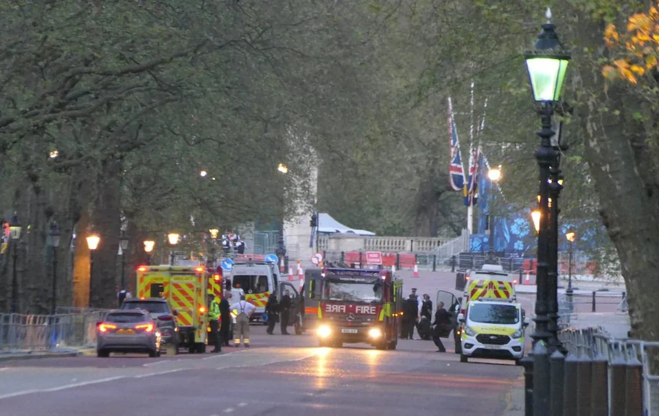 Arrest At Buckingham Palace