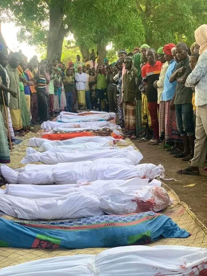 UXO Detonation Kills at Least 22, Mostly Children, in Southern Somalia, per Official