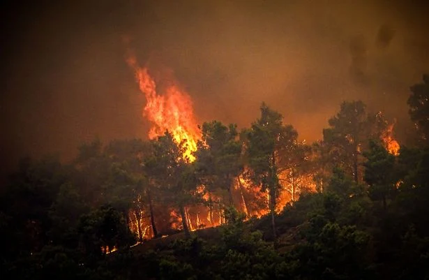 Emergency Aircraft Crashes in Greece