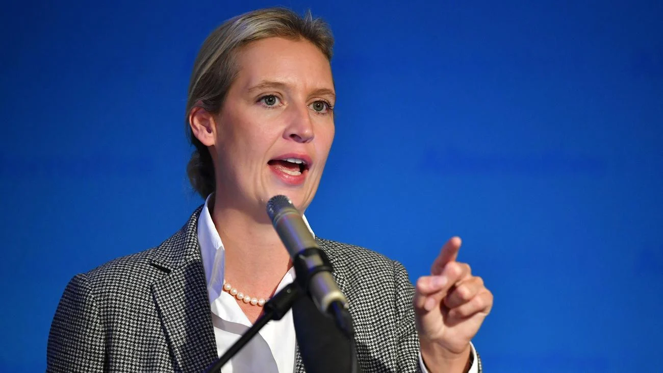 Germany Considers Ban on Rightwing AfD Party