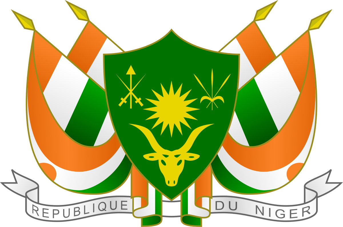 Nigerien Interim Government Prepares for Military Intervention