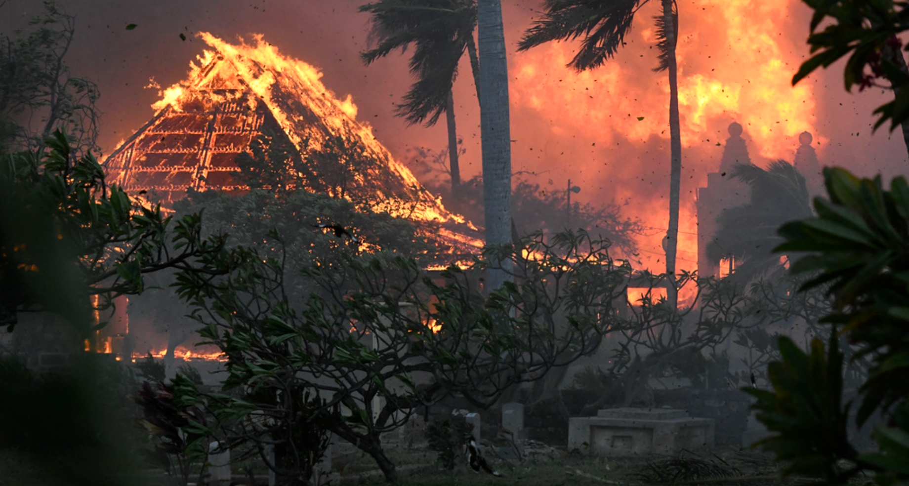 Maui Wildfires Death Toll Climbs to 101: Update On Situation