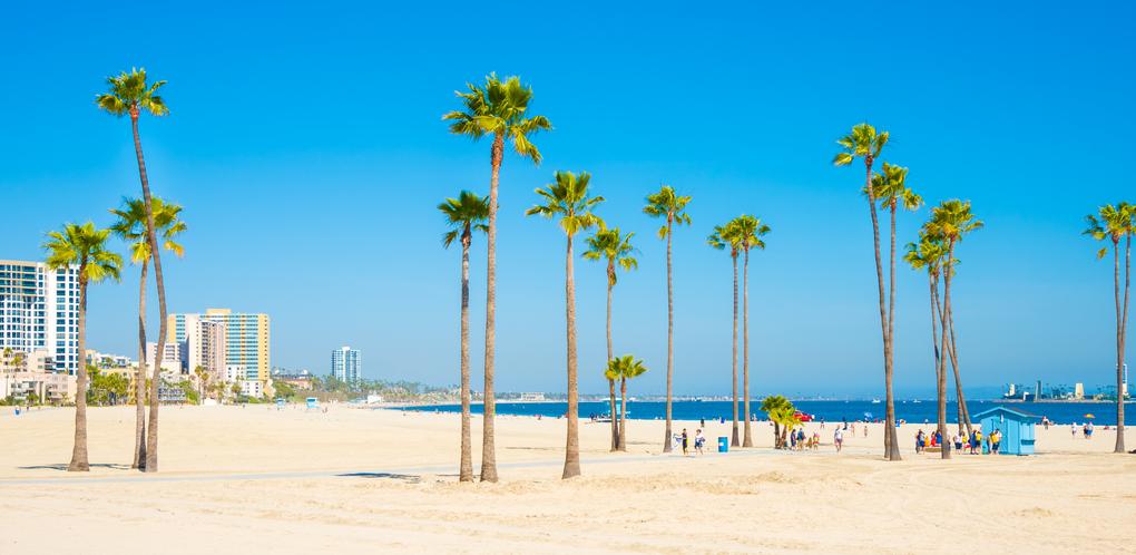 Long Beach Public Systems Network Security Incident