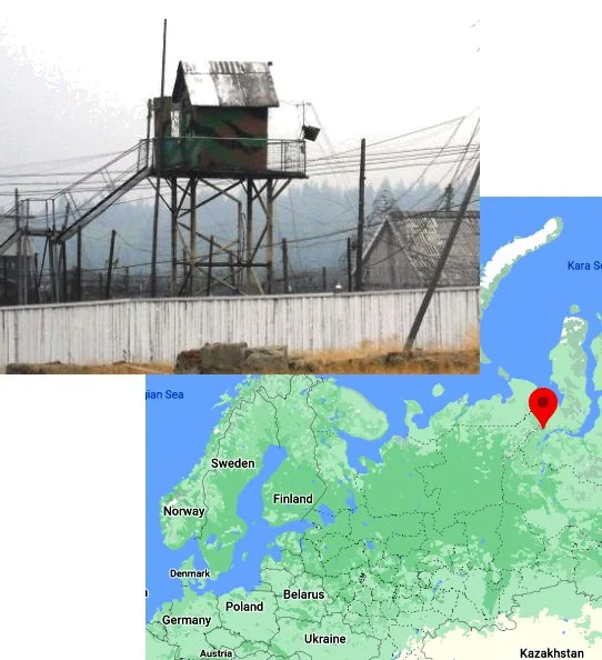 Alexey Navalny Located in Arctic Penal Colonly After 17-Day Disappearance
