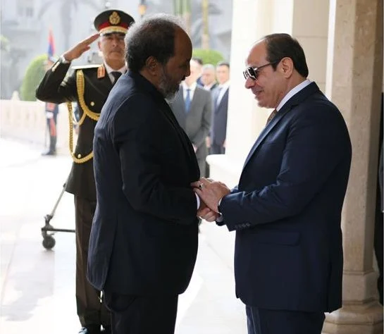 Egypt says they “Will Not Allow” Threat to Somalia