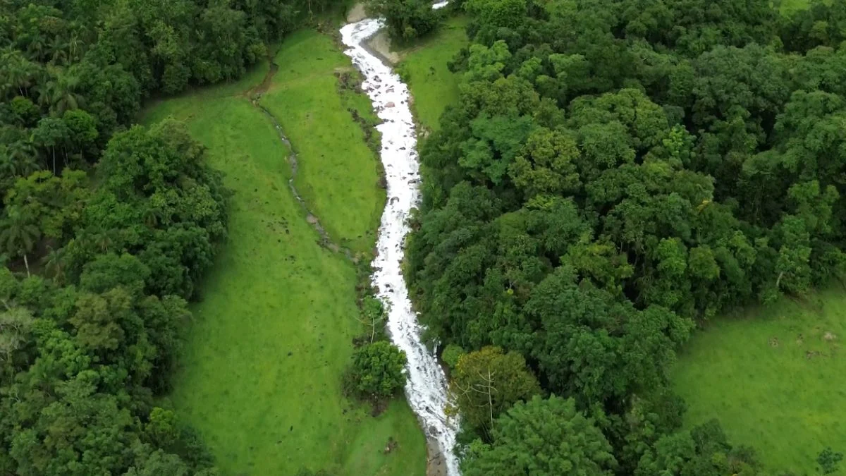 Brazil: Vehicle Carrying Sulfonic Acid Crashes, Rio Seco River Contaminated