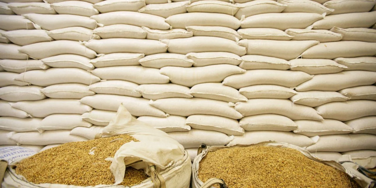 Zimbabwe Receives Part of 25,000 Ton Wheat ‘Donation’ From Russia