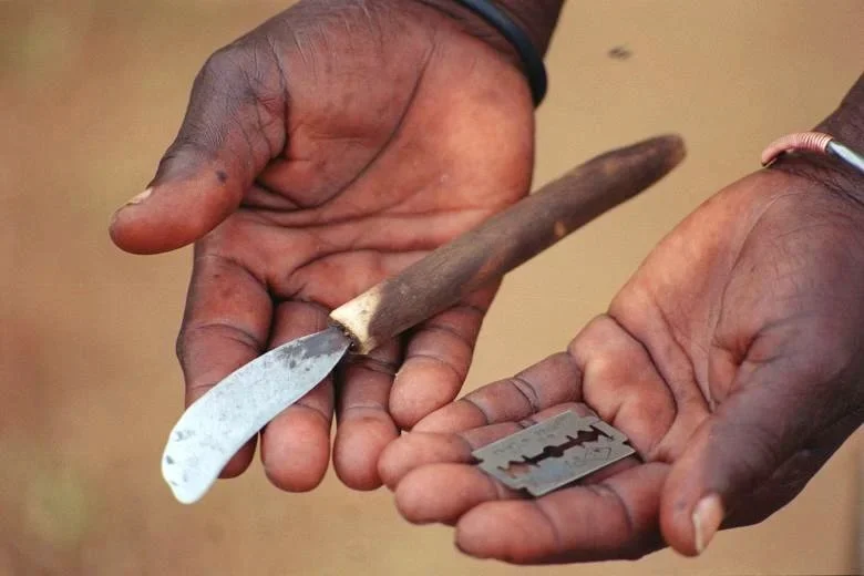 Bill to Decriminalise Female Genital Mutilation in Gambia to be Discussed by Parliament