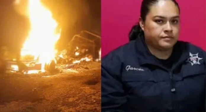 Regional Police Commissioner Decapitated in Michoacán, Mexico