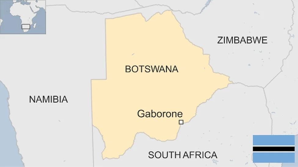 Twelve Zimbabweans Charged With Trafficking Minors Through Botswana