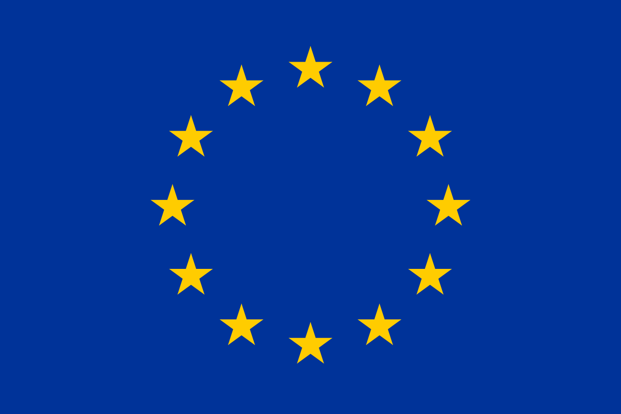 2024 European Parliament Election Overview