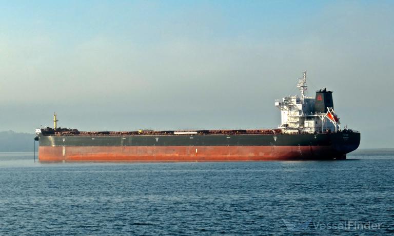 Houthis Confirm Attack Against Bulk Carrier with Explosive USV