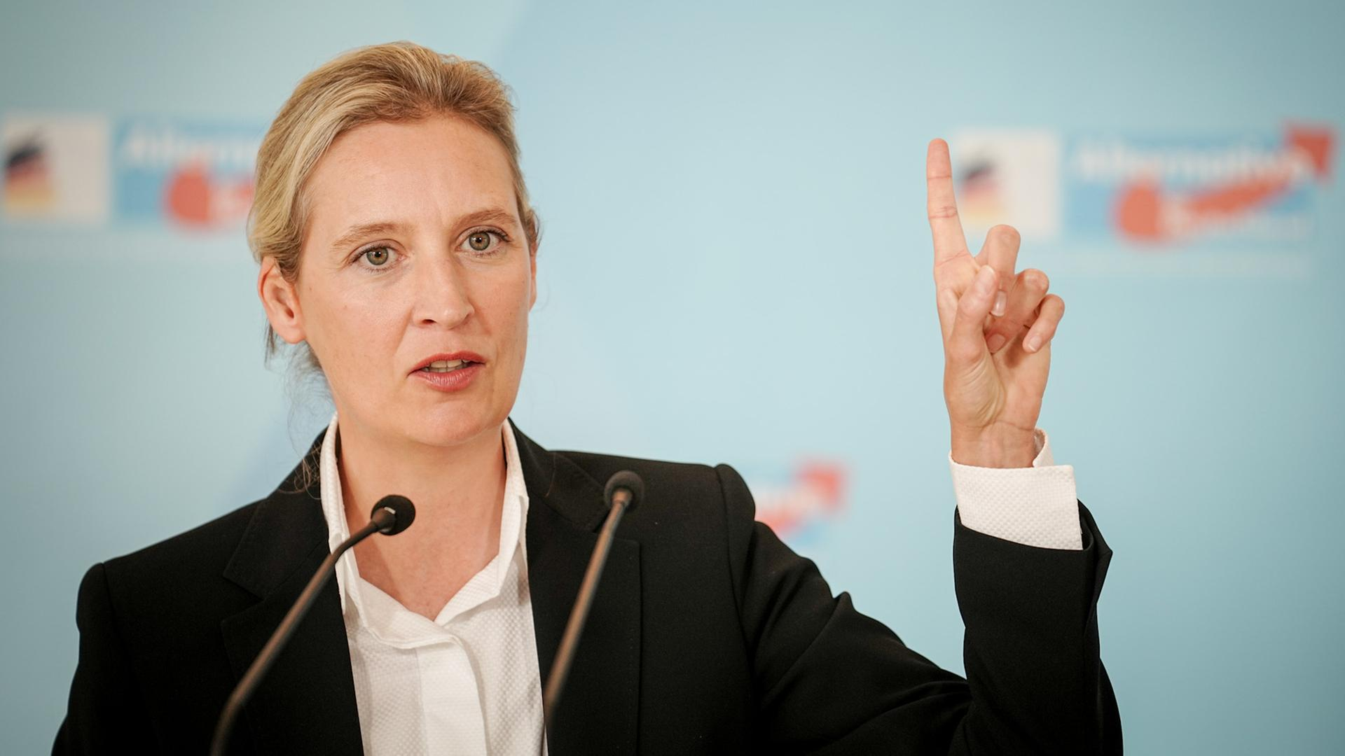 Alternative fuer Deutschland, Germany’s “Far-Right” Boogeyman