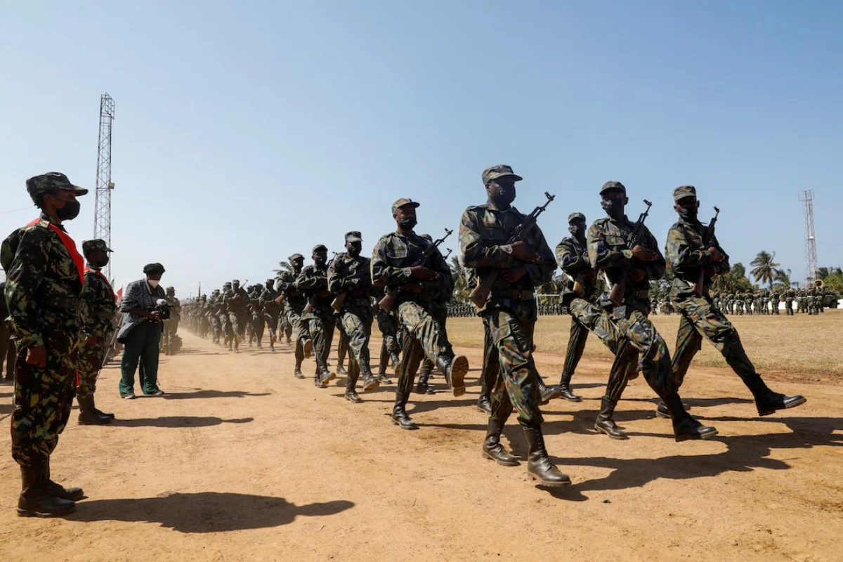 France Ready to Help Fight Insurgency in Cabo Delgado