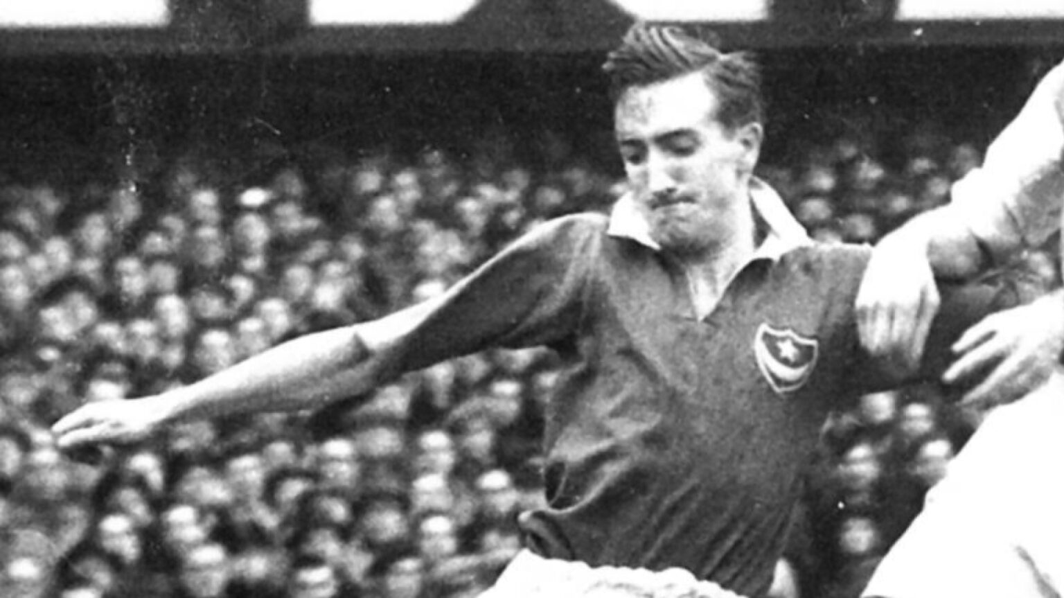 Peter Harris