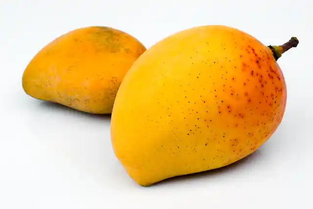 The Alphonso is the ‘King of Mangoes’ for good reason! (Photo: iStockphoto.com)