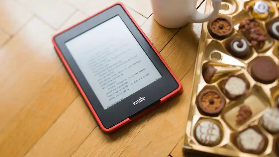 Amazon sells multiple products like Kindle, Echo speakers and fashion items. 