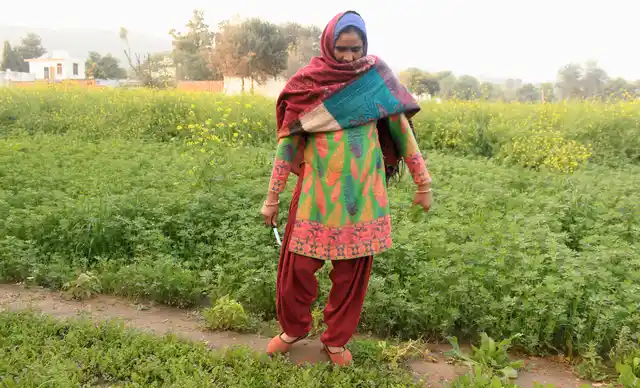 Single frauen vom land