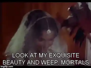 Gif: <b>The Quint</b>