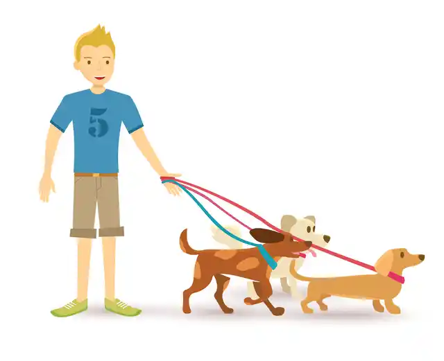 The factors that motivate dog walking are extremely complex, yet we know they can strongly motivate human health behaviour.