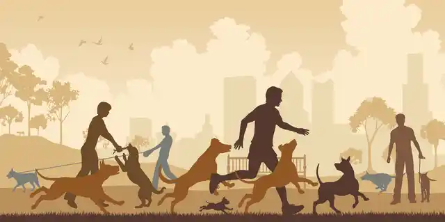 Dog walking was constructed as ‘for the dog’; however, owners represented their dog’s needs in a way which aligned with their own.