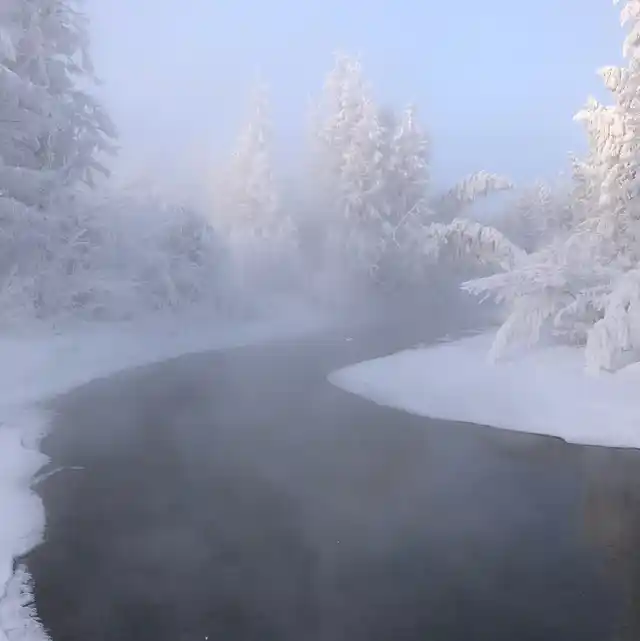 Steamy river surrounded by frozen greenery.