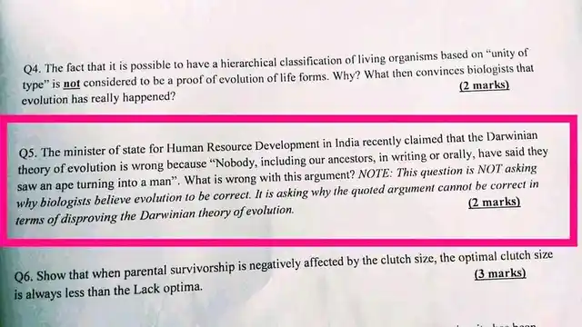 Theory of evolution essay