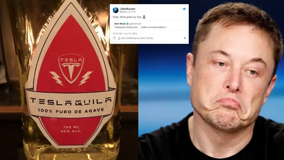 Elon Musk On Twitter Elon Was Found Passed Out Against A Tesla