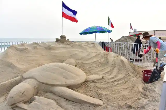 A French artist makes a turtle on sand.