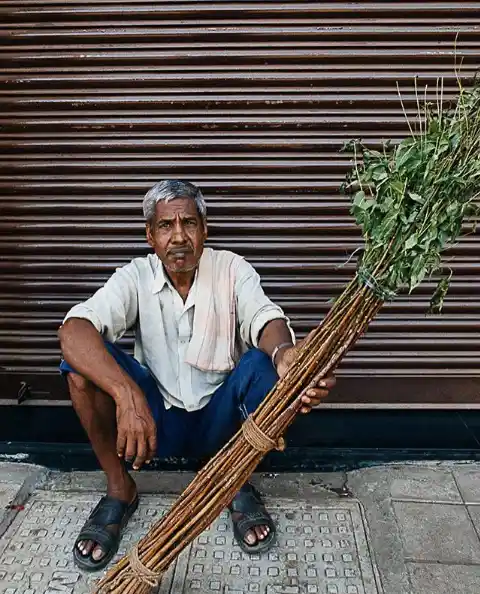 A <i>datoon-wallah </i>waits for customers to buy his teeth-cleaning Neem twigs 