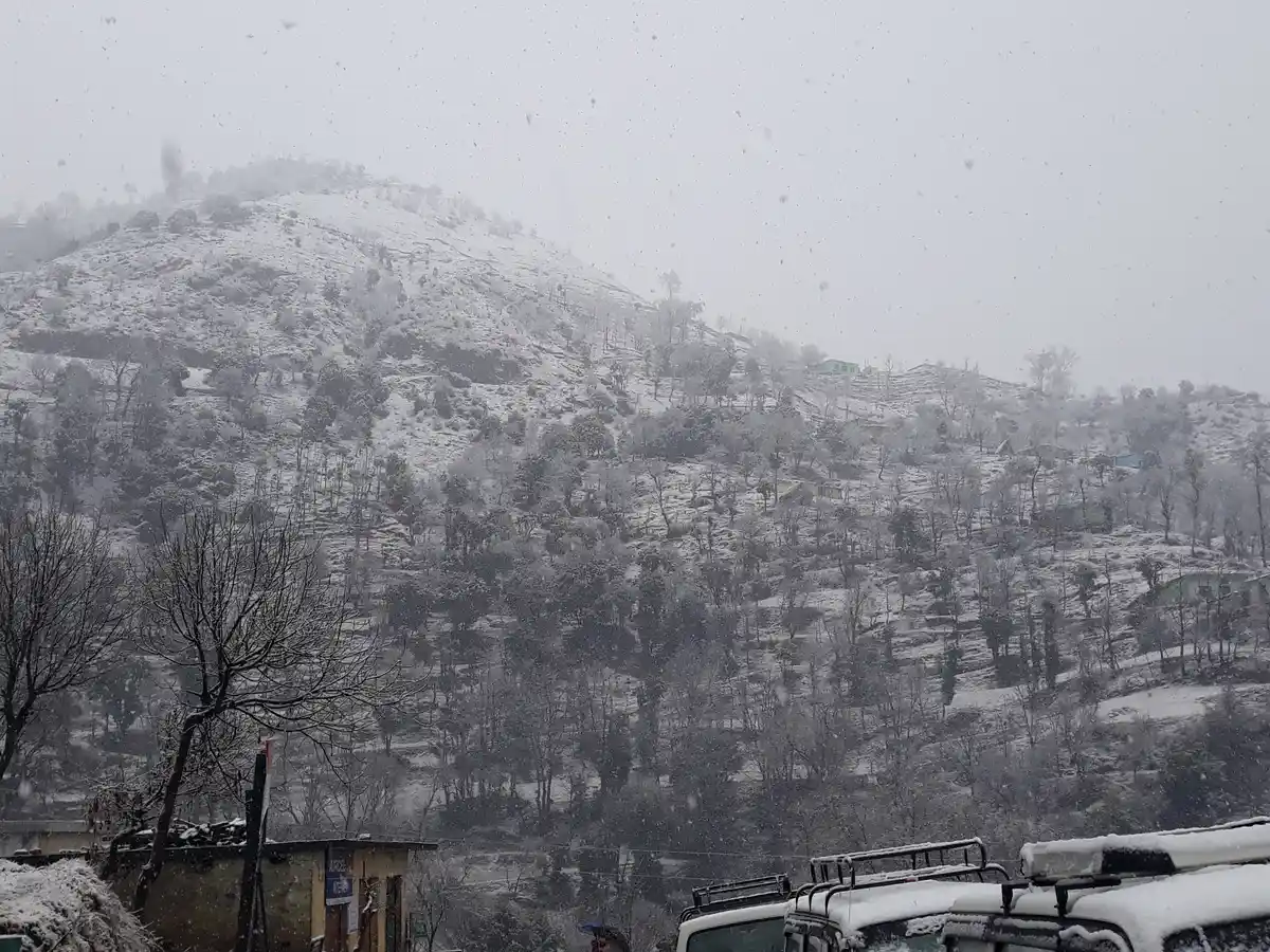 Snow sits on the trees and hill peak. 