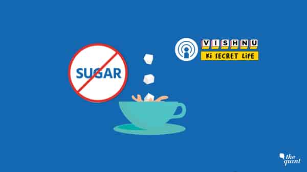 Sugar vs Fat – How I Lost 20 Kilos By Learning The Difference