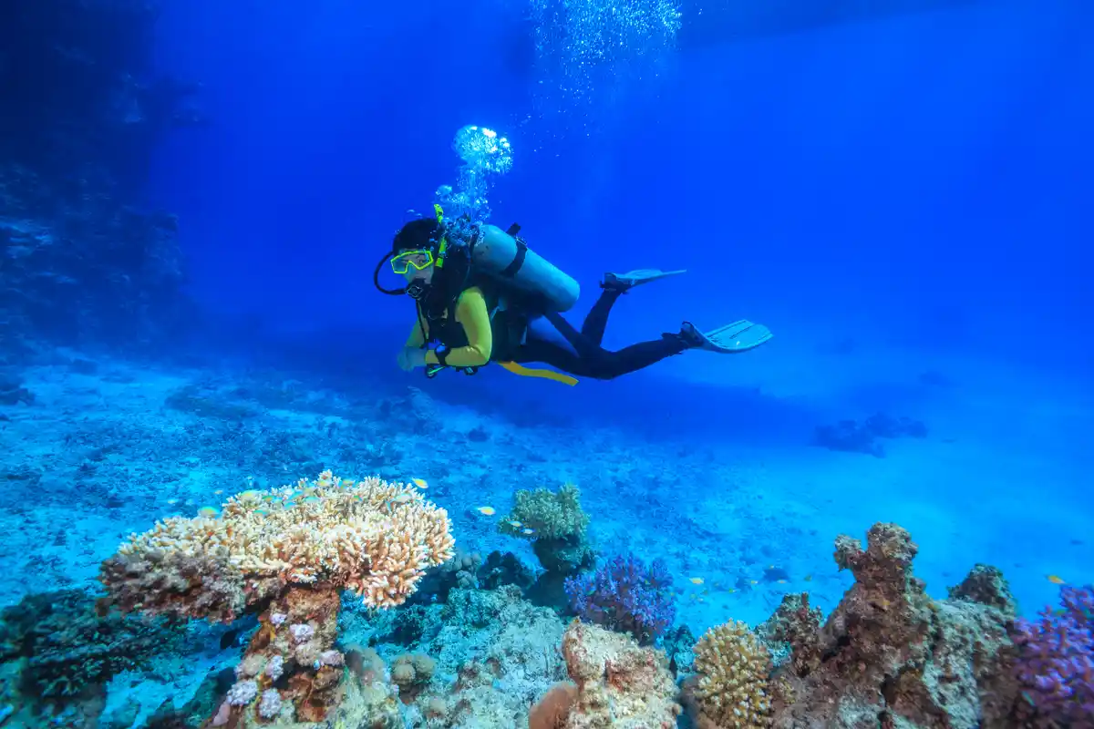 How about scuba diving this summer?