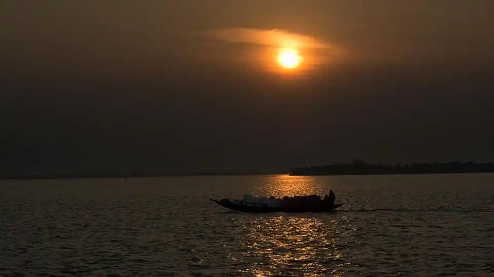 The Night Life of the Sunderbans