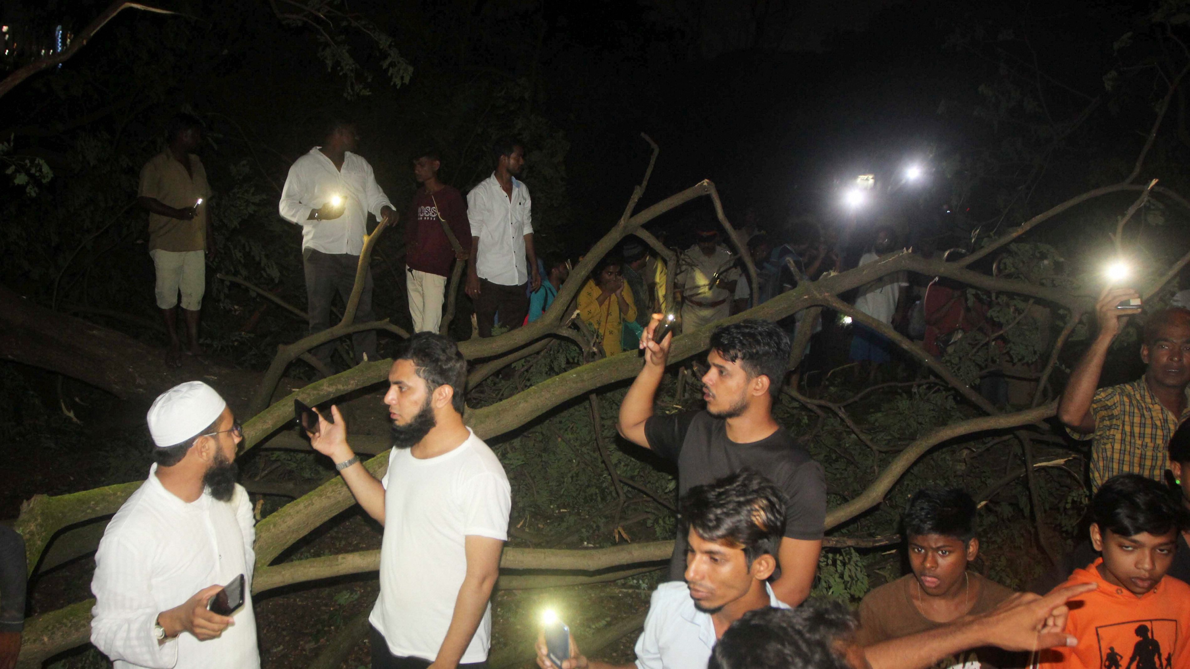 Aarey Case: SC Stays Felling of Trees, Orders Release of Activists
