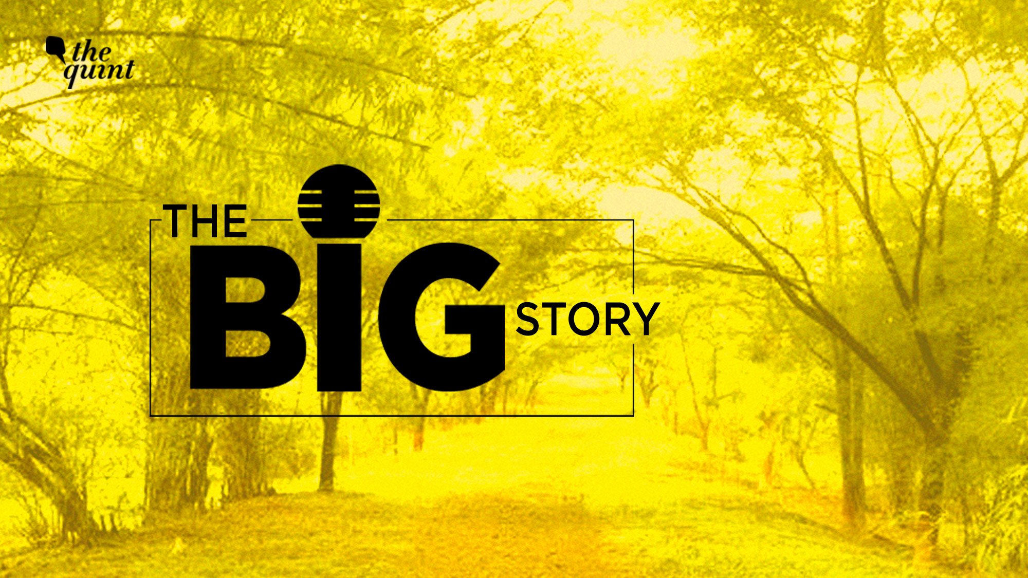 Aarey Colony Trees vs Metro Network: What’s the Dispute All About?