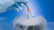 Here’s a low-down on the latest buzzword in town – stem cell therapy.