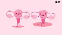Menstruation 101: here’s the biology of menstruation, and it includes nothing about morality or temples.