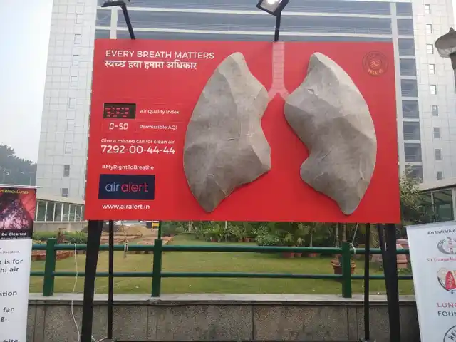 The faux lungs on the third day.