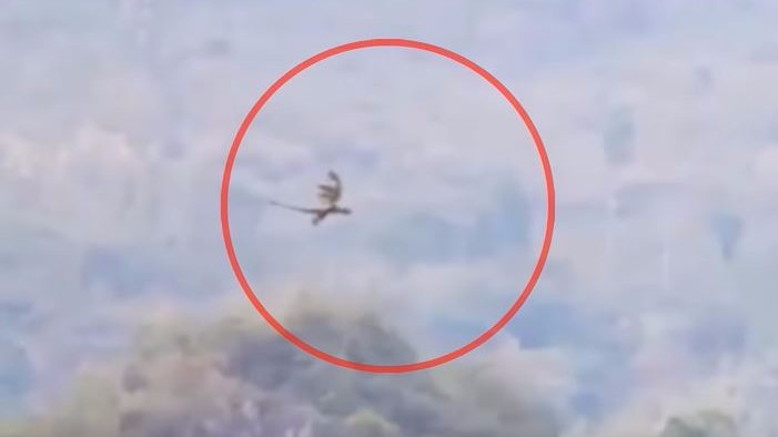 Watch Is That A Flying Dragon Caught On Camera In China The Quint watch-is-that-a-flying-dragon-caught-on-camera-in-china-the-quint