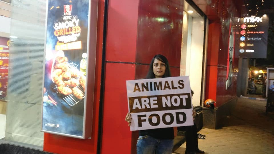 Protest Outside KFC Pits Vegans Against Meat Lovers on Facebook The Quint